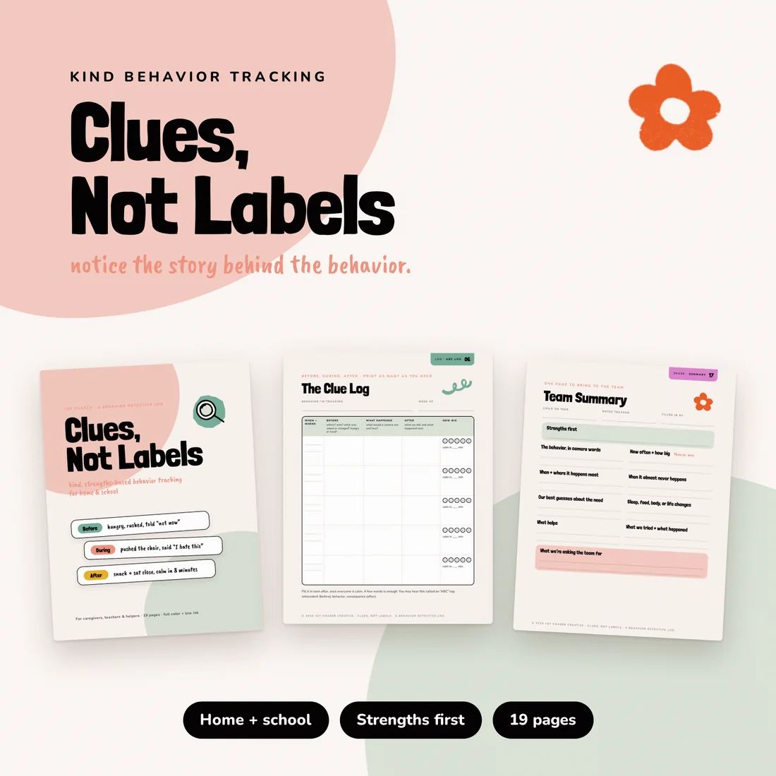 Clues, Not Labels picture 1