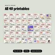 The Everything Bundle picture 2