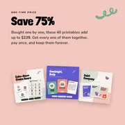 The Everything Bundle picture 4