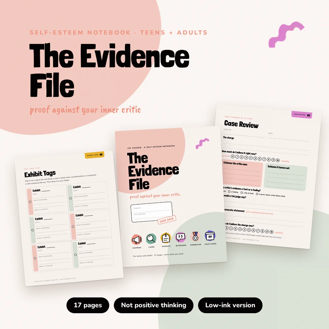 The Evidence File picture 1