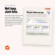 Night Owl Reset picture 3
